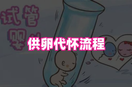 生殖助孕网站 1