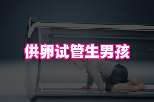 生殖助孕网站 3